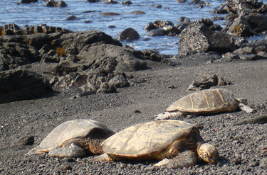 BigIslandSnapshots.com